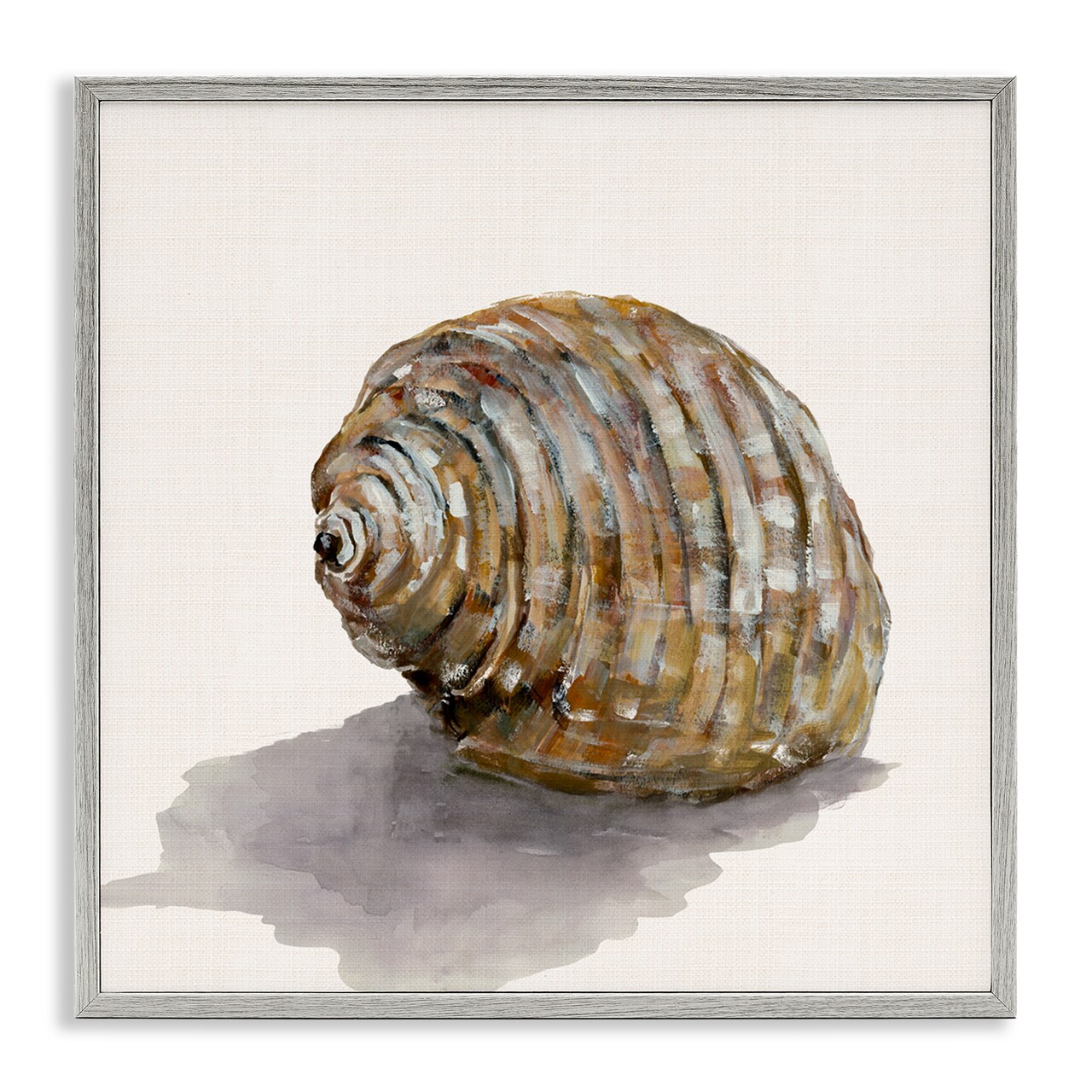 Stupell Industries Curved Seashell on Beige Framed Giclee Wall Art Design by Jacob Q